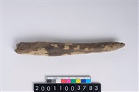 藏品(角尖器)的圖片