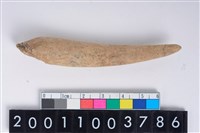 藏品(角尖器)的圖片