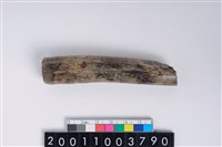 藏品(角尖器)的圖片