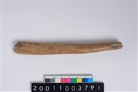 藏品(角尖器)的圖片