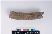 藏品(角器)的圖片