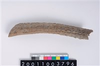 藏品(角器)的圖片