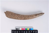 藏品(角器)的圖片