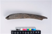 藏品(角器)的圖片