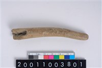 藏品(角器)的圖片