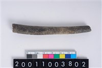 藏品(角器)的圖片