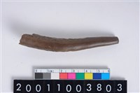 藏品(角器)的圖片