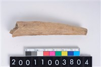 藏品(角器)的圖片