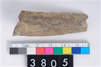 藏品(角器)的圖片