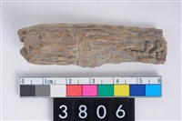 藏品(角器)的圖片