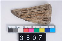 藏品(角器)的圖片