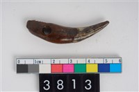 藏品(牙尖器)的圖片