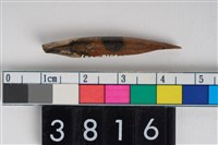 藏品(牙尖器)的圖片