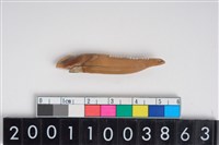 藏品(豬右下顎第2門齒)的圖片