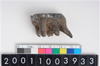 藏品(豬左上顎第3大臼齒)的圖片