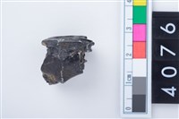 藏品(中型鹿左上顎第1或第2大臼齒)的圖片