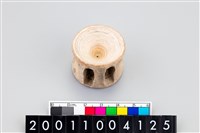 藏品(魚脊椎骨)的圖片