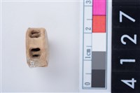 藏品(魚脊骨)的圖片