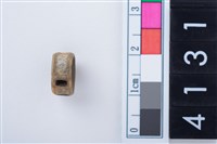 藏品(魚脊骨)的圖片