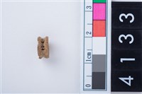 藏品(魚脊骨)的圖片