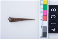 藏品(魚骨尖器)的圖片