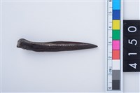 藏品(魚鰭骨尖器)的圖片