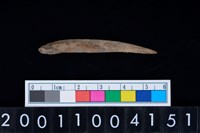 藏品(魚鰭骨尖器)的圖片