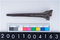 藏品(魚鰭骨尖器)的圖片