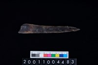 藏品(鹿右肋骨)的圖片