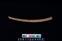 藏品(左肋骨)的圖片