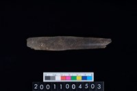 藏品(鹿左肋骨)的圖片