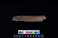 藏品(鹿左肋骨)的圖片