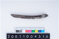 藏品(鹿左肋骨)的圖片