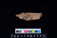 藏品(鹿左肋骨)的圖片