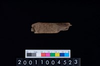 藏品(鹿左肋骨)的圖片