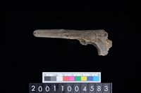 藏品(右尺骨)的圖片