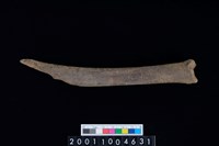 藏品(臏骨)的圖片