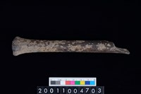 藏品(掌骨)的圖片