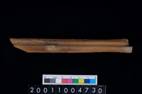 藏品(掌骨)的圖片