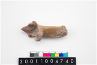 藏品(豬蹠骨)的圖片