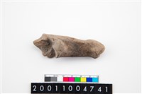 藏品(豬蹠骨)的圖片