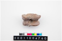 藏品(水鹿跗骨)的圖片