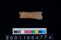 藏品(指骨)的圖片