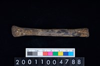 藏品(肱骨)的圖片