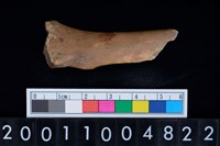 藏品(不明獸骨)的圖片