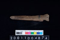 藏品(掌骨)的圖片