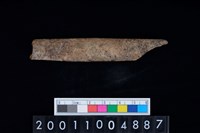 藏品(磨製骨器)的圖片