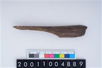 藏品(磨製骨器)的圖片