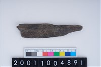 藏品(磨製骨器)的圖片