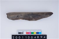 藏品(磨製骨器)的圖片